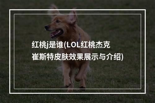 红桃j是谁(LOL红桃杰克崔斯特皮肤效果展示与介绍)