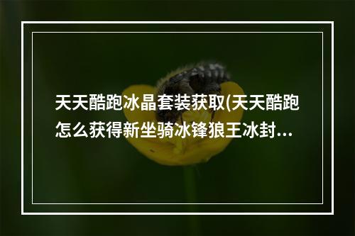 天天酷跑冰晶套装获取(天天酷跑怎么获得新坐骑冰锋狼王冰封狼王获得方法)