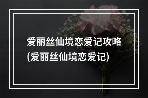 爱丽丝仙境恋爱记攻略(爱丽丝仙境恋爱记)