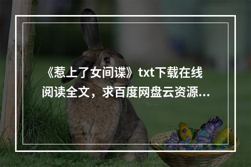 《惹上了女间谍》txt下载在线阅读全文，求百度网盘云资源(女间谍下载)