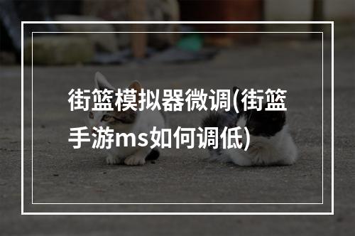 街篮模拟器微调(街篮手游ms如何调低)