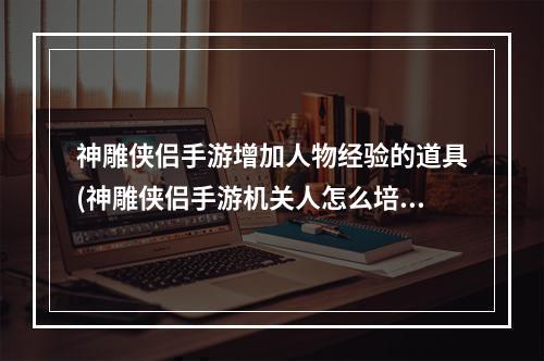 神雕侠侣手游增加人物经验的道具(神雕侠侣手游机关人怎么培养)