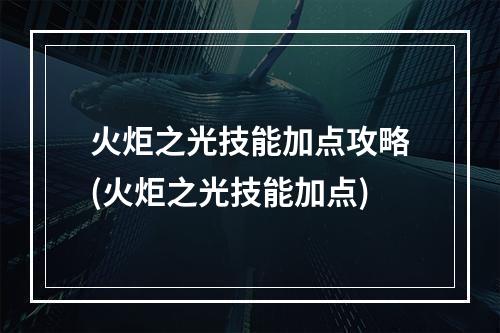 火炬之光技能加点攻略(火炬之光技能加点)