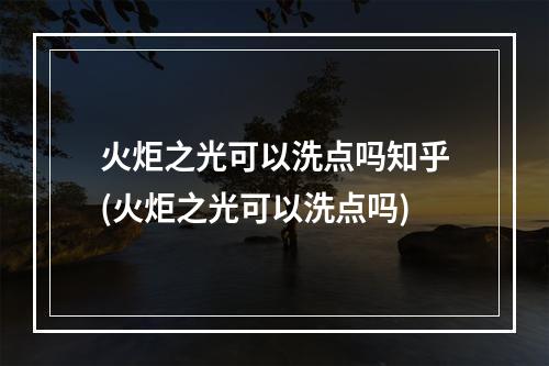 火炬之光可以洗点吗知乎(火炬之光可以洗点吗)