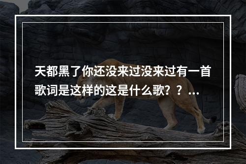 天都黑了你还没来过没来过有一首歌词是这样的这是什么歌？？？(天都黑了你都没来过没来坐)