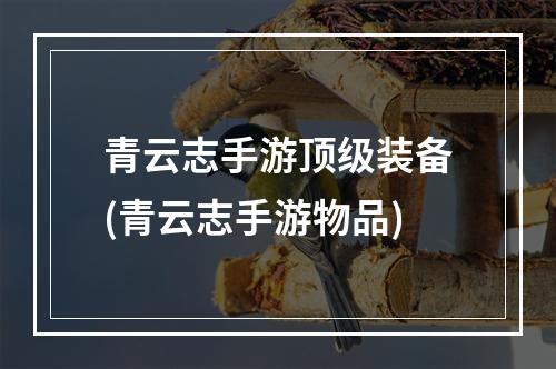 青云志手游顶级装备(青云志手游物品)