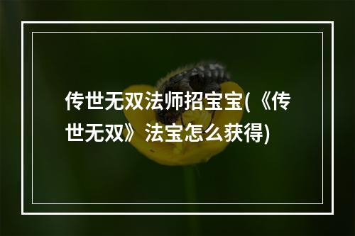 传世无双法师招宝宝(《传世无双》法宝怎么获得)