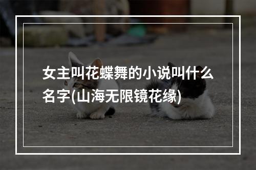 女主叫花蝶舞的小说叫什么名字(山海无限镜花缘)