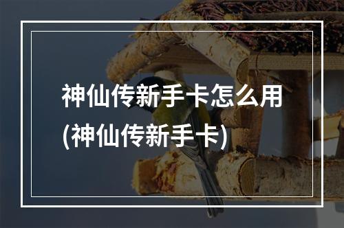 神仙传新手卡怎么用(神仙传新手卡)