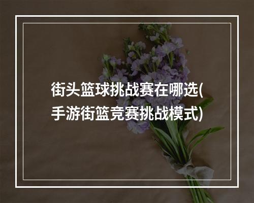 街头篮球挑战赛在哪选(手游街篮竞赛挑战模式)