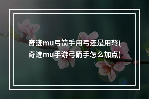 奇迹mu弓箭手用弓还是用弩(奇迹mu手游弓箭手怎么加点)