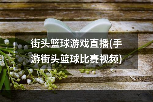 街头篮球游戏直播(手游街头篮球比赛视频)