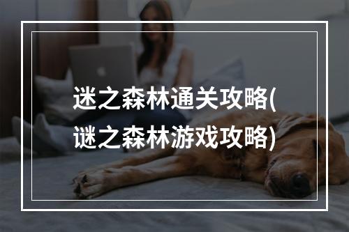 迷之森林通关攻略(谜之森林游戏攻略)