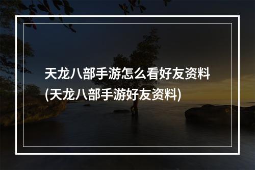 天龙八部手游怎么看好友资料(天龙八部手游好友资料)