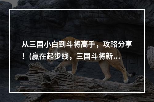 从三国小白到斗将高手，攻略分享！(赢在起步线，三国斗将新手进阶攻略！)