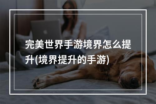 完美世界手游境界怎么提升(境界提升的手游)