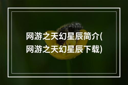 网游之天幻星辰简介(网游之天幻星辰下载)