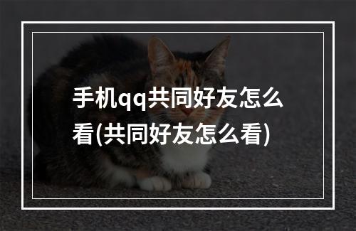 手机qq共同好友怎么看(共同好友怎么看)