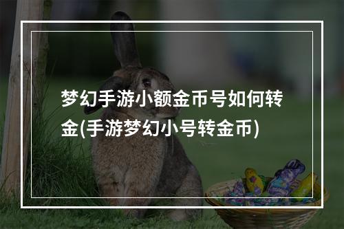 梦幻手游小额金币号如何转金(手游梦幻小号转金币)