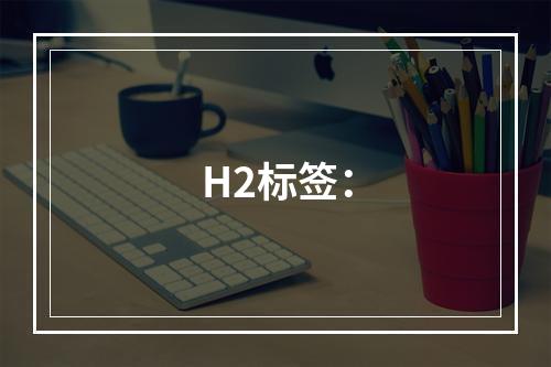 H2标签：