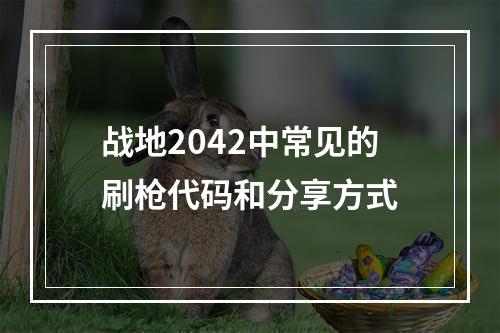 战地2042中常见的刷枪代码和分享方式