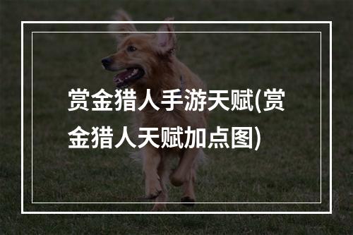 赏金猎人手游天赋(赏金猎人天赋加点图)