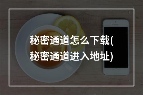 秘密通道怎么下载(秘密通道进入地址)