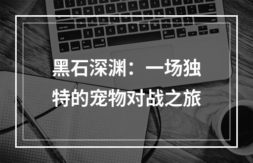 黑石深渊：一场独特的宠物对战之旅