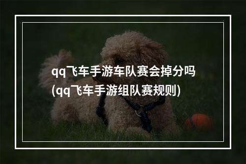 qq飞车手游车队赛会掉分吗(qq飞车手游组队赛规则)