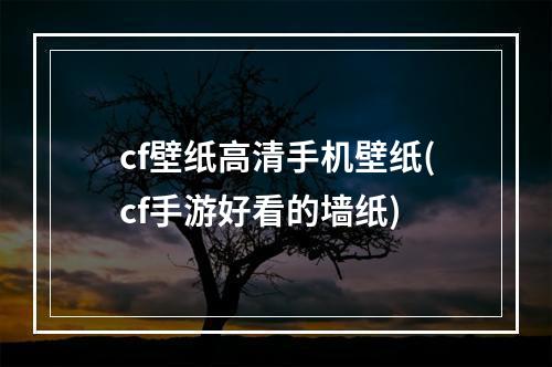 cf壁纸高清手机壁纸(cf手游好看的墙纸)