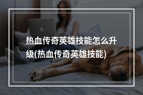 热血传奇英雄技能怎么升级(热血传奇英雄技能)