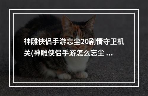 神雕侠侣手游忘尘20剧情守卫机关(神雕侠侣手游怎么忘尘 忘尘条件结果汇总一览)