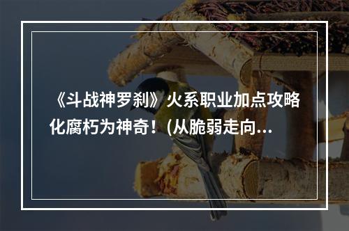 《斗战神罗刹》火系职业加点攻略化腐朽为神奇！(从脆弱走向无敌)(《斗战神罗刹》火系加点指南一招制敌，成就霸主天下！)