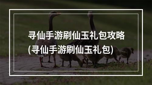 寻仙手游刷仙玉礼包攻略(寻仙手游刷仙玉礼包)