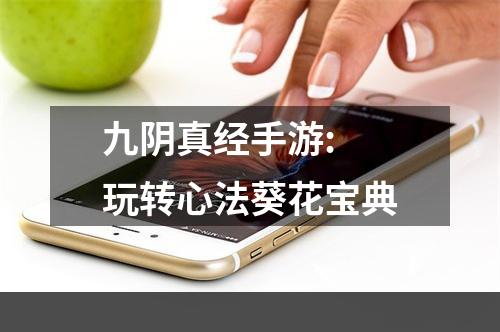 九阴真经手游: 玩转心法葵花宝典