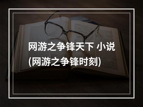 网游之争锋天下 小说(网游之争锋时刻)