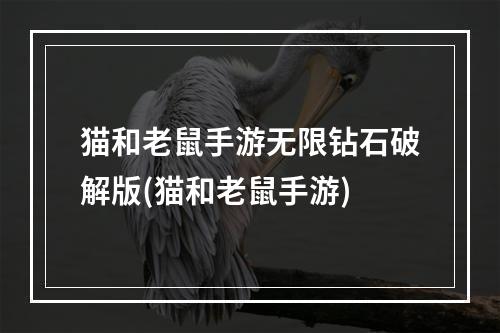 猫和老鼠手游无限钻石破解版(猫和老鼠手游)