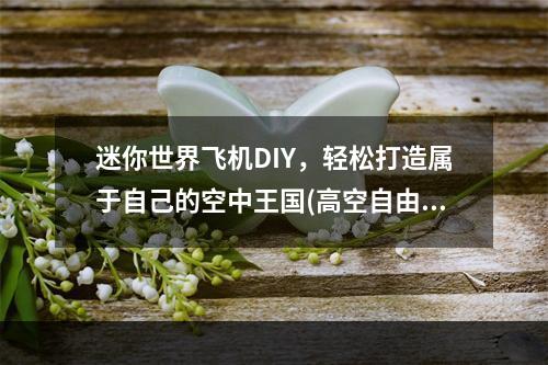 迷你世界飞机DIY，轻松打造属于自己的空中王国(高空自由)2飞行爱好者必看！迷你世界飞机制作全攻略(航天梦想)(飞行爱好者必看！迷你世界飞机制作全攻略(航天梦想