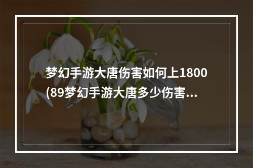 梦幻手游大唐伤害如何上1800(89梦幻手游大唐多少伤害)