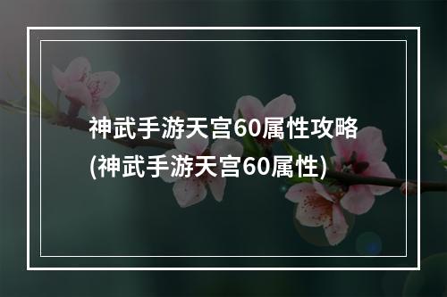 神武手游天宫60属性攻略(神武手游天宫60属性)