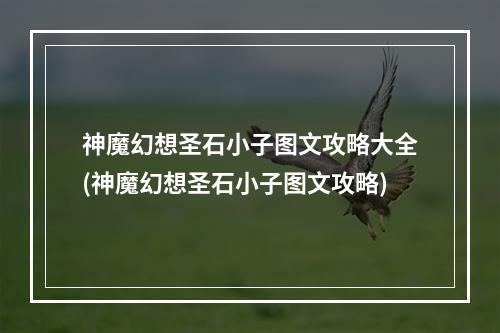 神魔幻想圣石小子图文攻略大全(神魔幻想圣石小子图文攻略)