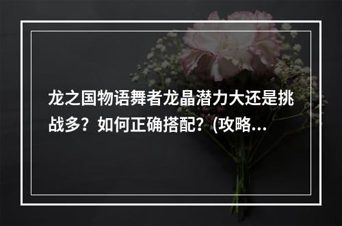 龙之国物语舞者龙晶潜力大还是挑战多？如何正确搭配？(攻略来袭)