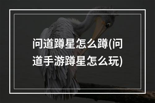 问道蹲星怎么蹲(问道手游蹲星怎么玩)