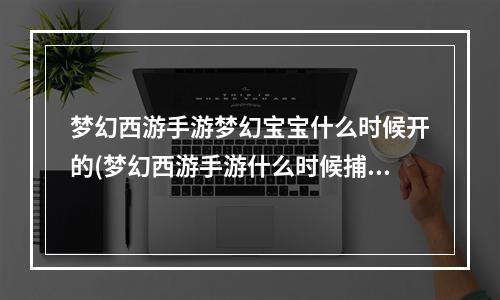 梦幻西游手游梦幻宝宝什么时候开的(梦幻西游手游什么时候捕捉宝宝)