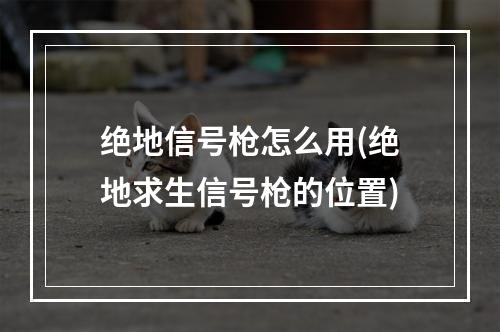 绝地信号枪怎么用(绝地求生信号枪的位置)