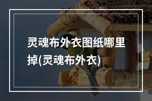 灵魂布外衣图纸哪里掉(灵魂布外衣)