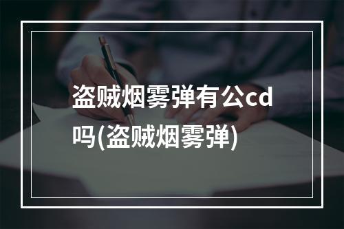 盗贼烟雾弹有公cd吗(盗贼烟雾弹)