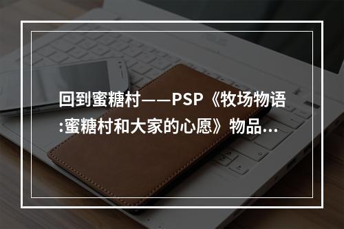 回到蜜糖村——PSP《牧场物语:蜜糖村和大家的心愿》物品攻略