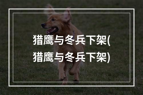 猎鹰与冬兵下架(猎鹰与冬兵下架)