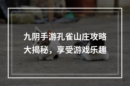 九阴手游孔雀山庄攻略大揭秘，享受游戏乐趣